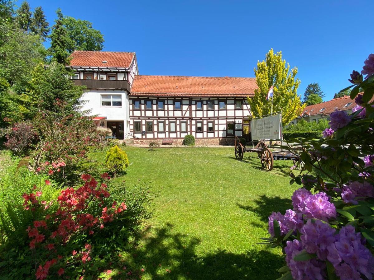 Hotel Pension Gelpkes Muehle Bad Sachsa Ngoại thất bức ảnh